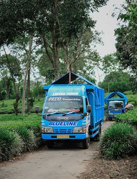 Navigating New Horizons: Resilience in Indonesia’s Supply Chains